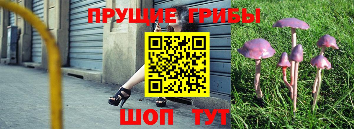 Галлюциногенные грибы мицелий  Вход с VPN  Клинцы 